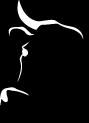 Vache Tigre